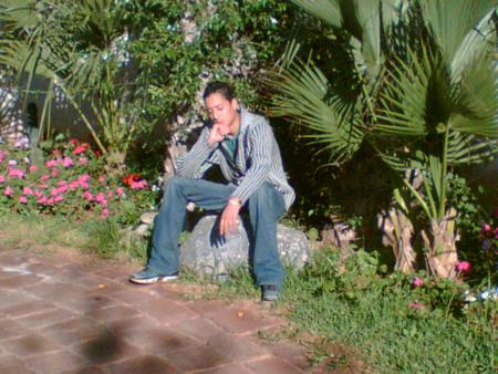 ayoub
